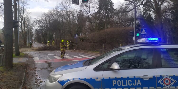 Wichura nad regionem. Ponad 800 interwencji straży pożarnej