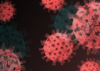 W Lubuskiem 26 nowych zakażeń COVID-19