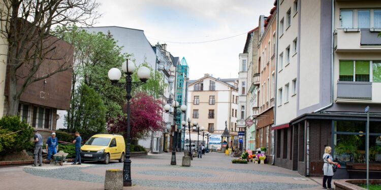 W centrum będą sadzić drzewa