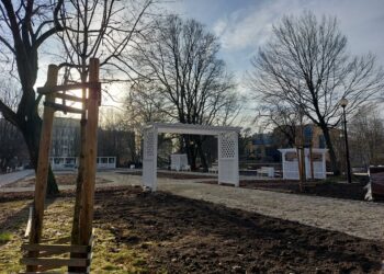 Gorzowianie oceniają zmiany w parku Róż. Nie wszystko się podoba [ZDJĘCIA]