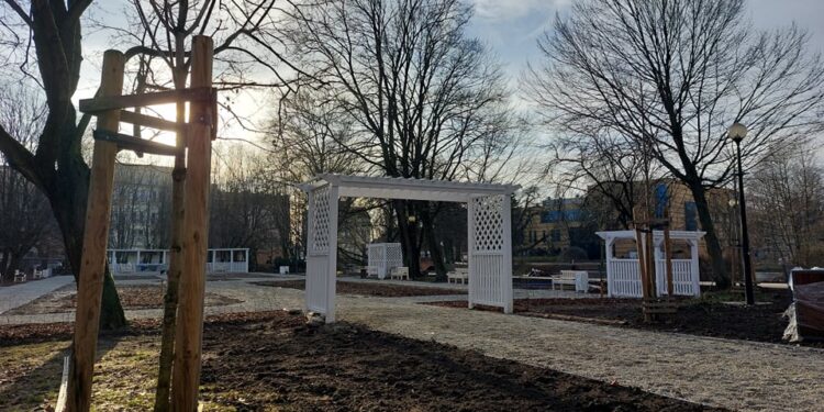 Gorzowianie oceniają zmiany w parku Róż. Nie wszystko się podoba [ZDJĘCIA]