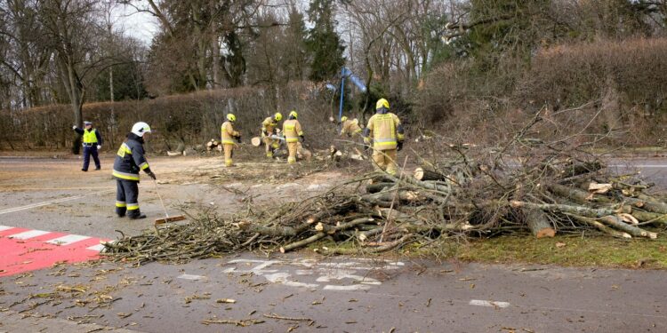 Skutki orkanu Malik [ZDJĘCIA]