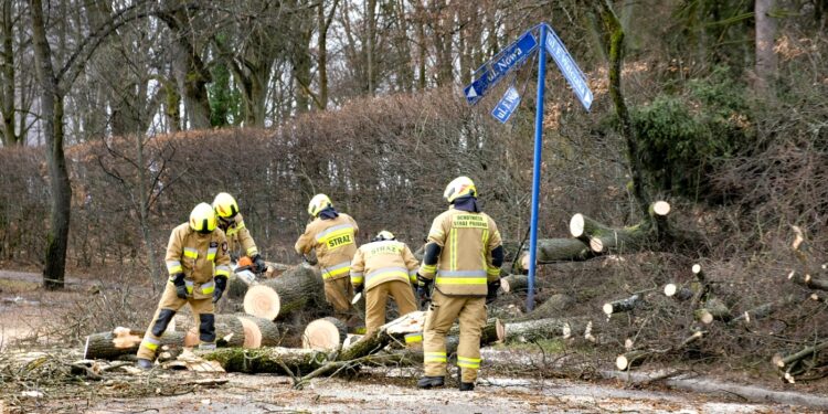 Skutki orkanu Malik [ZDJĘCIA]