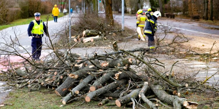 Skutki orkanu Malik [ZDJĘCIA]