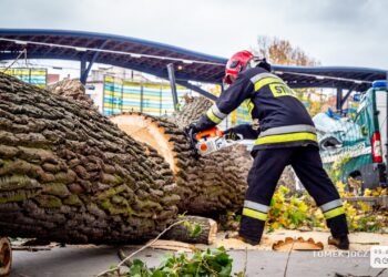 Ostrzeżenie przed silnym wiatrem