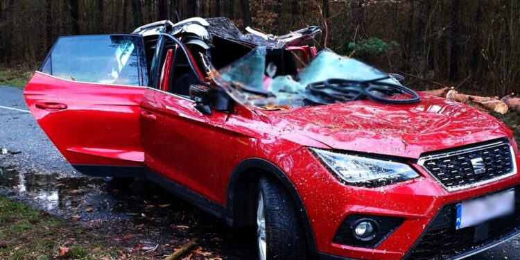 ofiara wichury w Międzyrzeczu