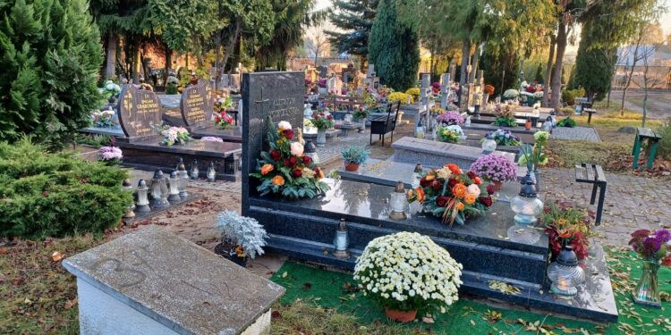 Działa nowa wyszukiwarka grobów