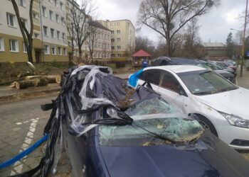 Wichura dewastuje region [FILM, ZDJĘCIA]