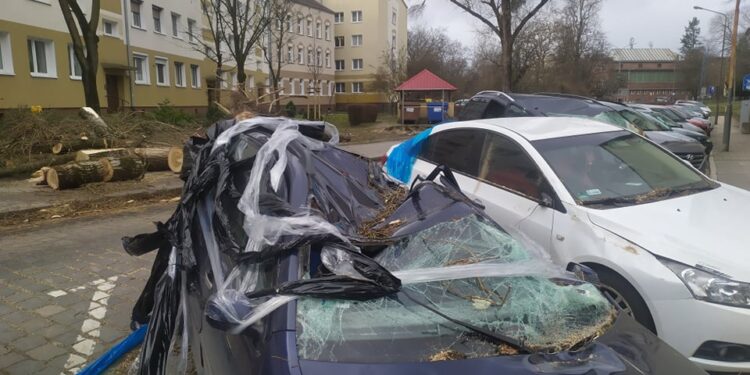 Wichura dewastuje region [FILM, ZDJĘCIA]