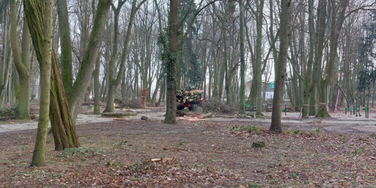 Porządki w parku Kopernika. Nowych nasadzeń tam na razie nie będzie