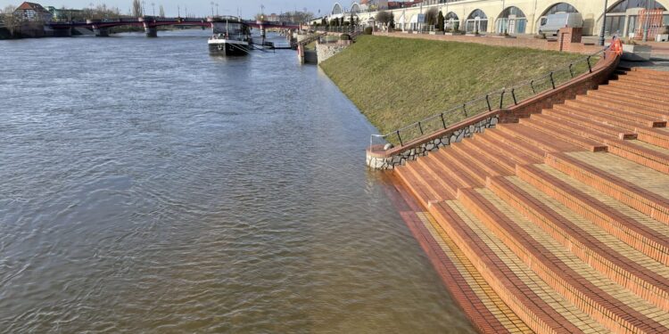 Warta ciągle w górę