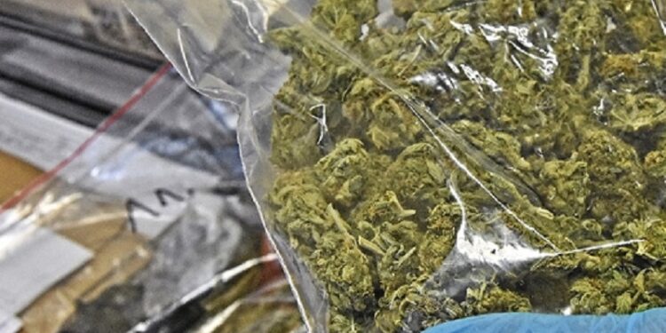 Wprowadzili na rynek tonę narkotyków