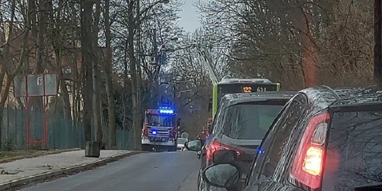 Strażacy ciągle usuwają gałęzie bądź połamane drzewa