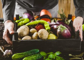 Produkty od rolników w centrum miasta