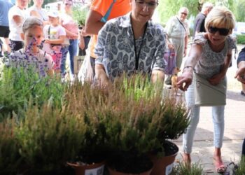 „Super Samorząd” dla Gorzowa