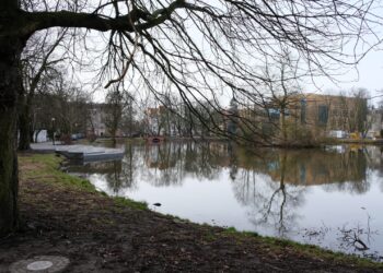 Mieszkańcy o rewitalizacji parku Wiosny Ludów