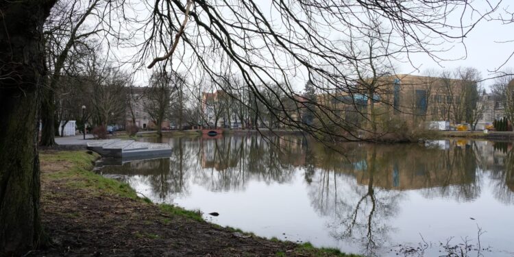 Mieszkańcy o rewitalizacji parku Wiosny Ludów