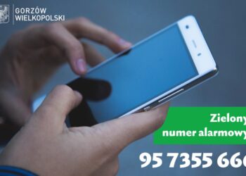 Gorzowianie chętnie dzwonią pod „zielony numer”