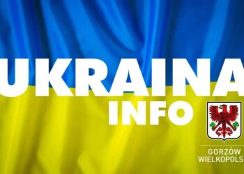 Pomoc – tak. Chaos – nie. Jednolity plan działania