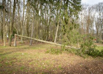 Skutki orkanu Eunice [DUŻO ZDJĘĆ]