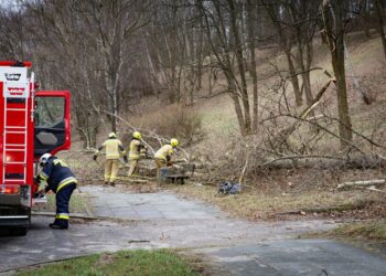 Skutki orkanu Eunice [DUŻO ZDJĘĆ]