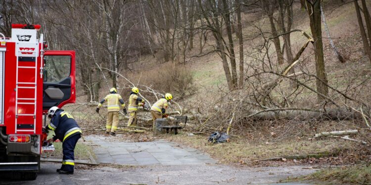 Skutki orkanu Eunice [DUŻO ZDJĘĆ]