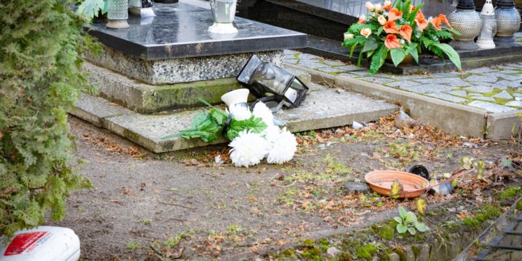 Skutki orkanu Eunice [DUŻO ZDJĘĆ]