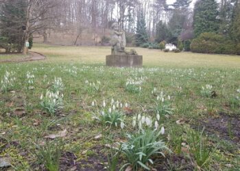 Na romantyczny spacer do gorzowskiego muzeum