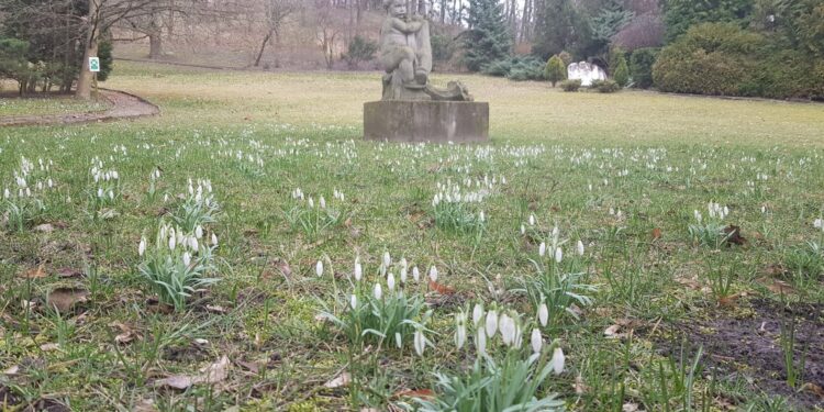 Na romantyczny spacer do gorzowskiego muzeum