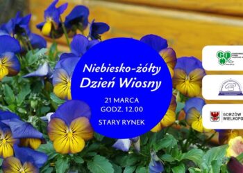 Zdrowe sałatki i bratki na powitanie wiosny