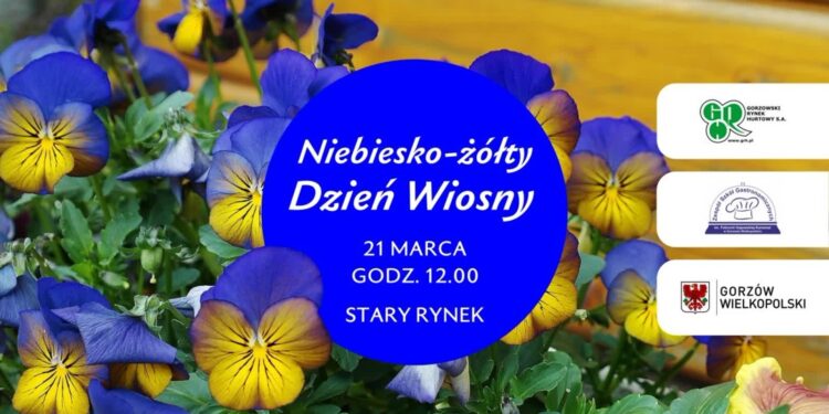 Zdrowe sałatki i bratki na powitanie wiosny