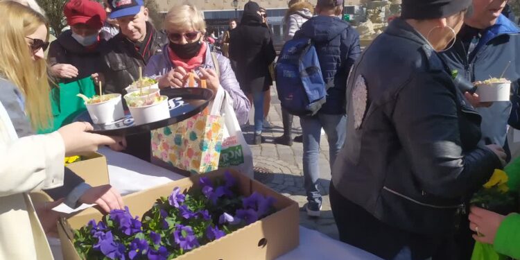 Bratki i sałatki. Gorzowianie powitali wiosnę