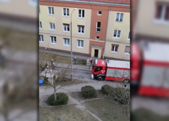 fot. Bogdan Meler, FB/Klub Przyjaciół Osiedla Staszica