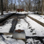 Fot. PAP/Andrzej Lange