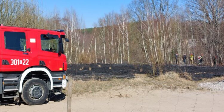Pożar traw przy ul. Arciszewskiego w Gorzowie
