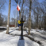 Fot. PAP/Andrzej Lange