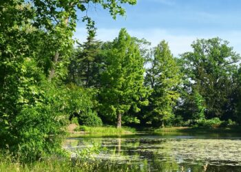 Fot. Lubuski Ośrodek Badań Regionalnych