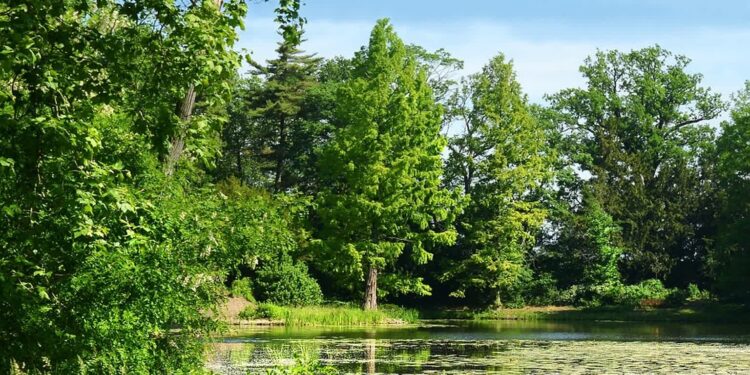 Fot. Lubuski Ośrodek Badań Regionalnych