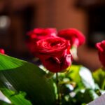 Fot. Krzysztof Filmanowicz