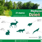 Grafika: Lubuski Ośrodek Badań Regionalnych