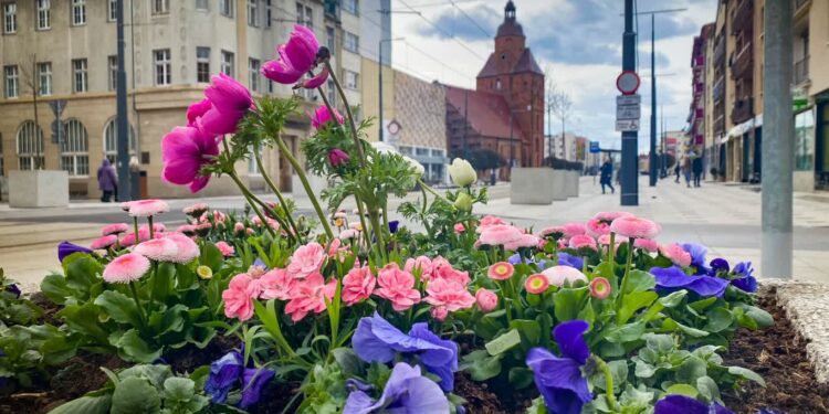Wiosenne kwiaty i świąteczne ozdoby