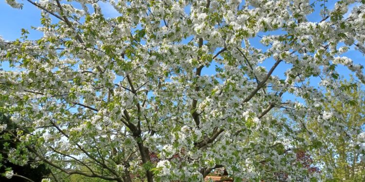 Plany na majowy weekend