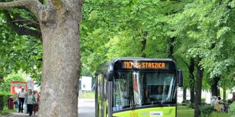 Badania o usługach przewozowych w Gorzowie