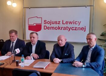 Problemy Nowej Lewicy