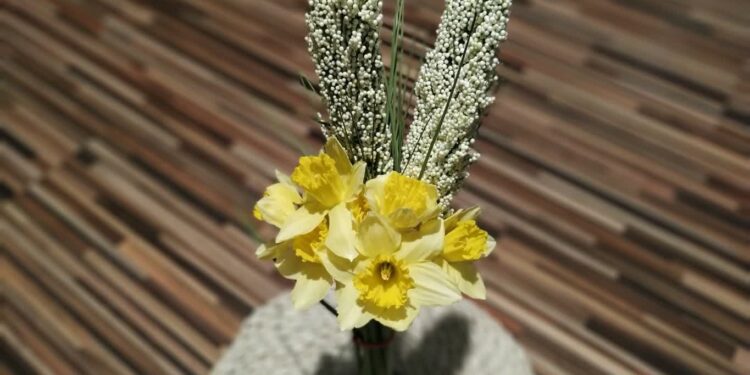 Fot: Piotr Wiśniewski