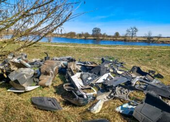 Posprzątają brzegi Warty