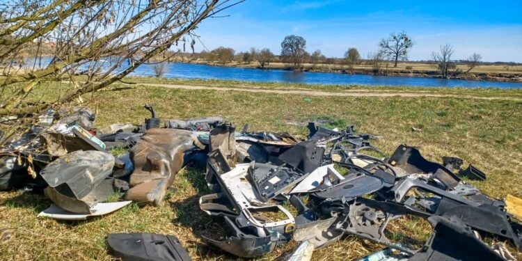 Posprzątają brzegi Warty