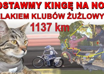 W butach z kotem na stadiony