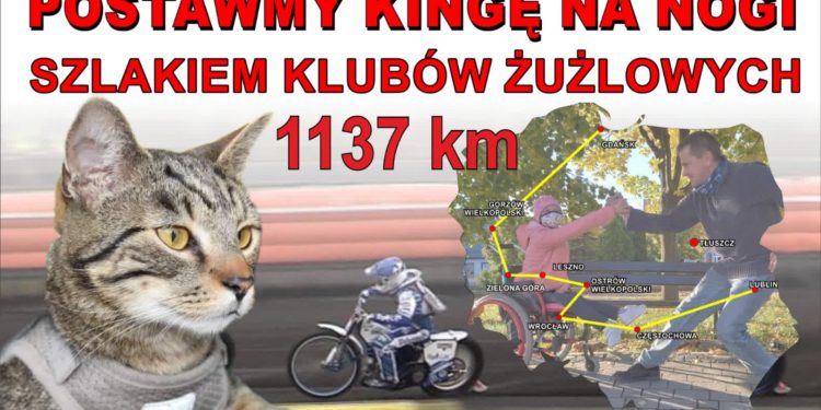 W butach z kotem na stadiony