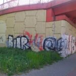 fot. M. Sawoch